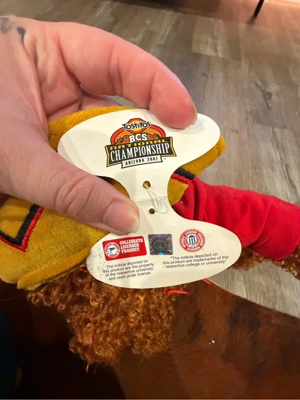 Ohio State Authentic Apparel forever collectibles